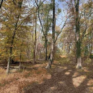 Photo #25 of BRIDGEPORT RD, ARVONIA, VA 29.4 acres