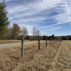 Photo #9 of BRIDGEPORT RD, ARVONIA, VA 29.4 acres
