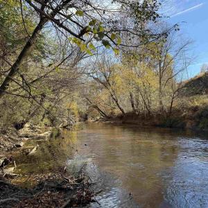 Photo #52 of BRIDGEPORT RD, ARVONIA, VA 29.4 acres