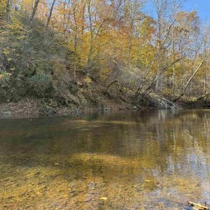 Photo #61 of BRIDGEPORT RD, ARVONIA, VA 29.4 acres