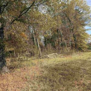 Photo #29 of BRIDGEPORT RD, ARVONIA, VA 29.4 acres