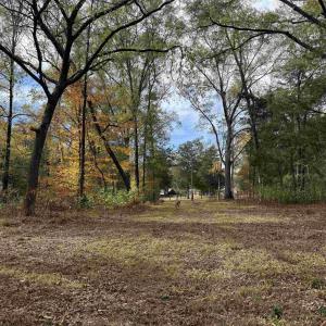 Photo #24 of BRIDGEPORT RD, ARVONIA, VA 29.4 acres