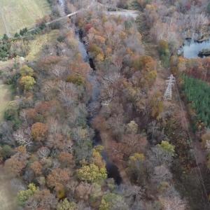 Photo #13 of BRIDGEPORT RD, ARVONIA, VA 29.4 acres
