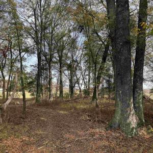 Photo #26 of BRIDGEPORT RD, ARVONIA, VA 29.4 acres