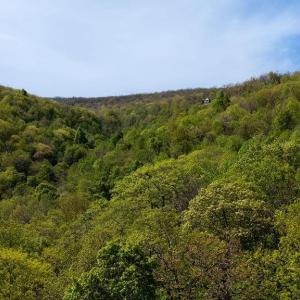Photo #1 of 2242 LAUREL SPRINGS DR, WINTERGREEN RESORT, VA 1.7 acres