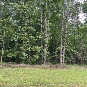 Photo #2 of JACK JOUETT RD, ZION CROSSROADS, VA 32.3 acres