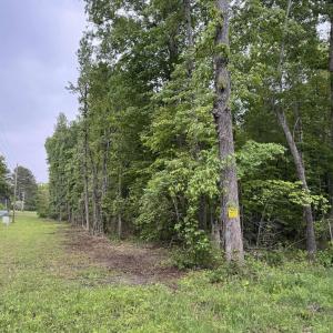 Photo #3 of JACK JOUETT RD, ZION CROSSROADS, VA 32.3 acres