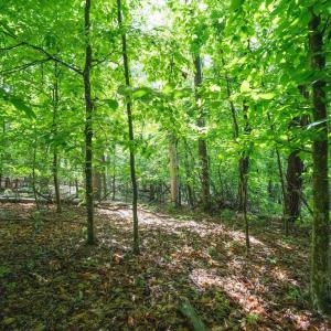 Photo #23 of GILBERT STATION RD, BARBOURSVILLE, VA 7.7 acres