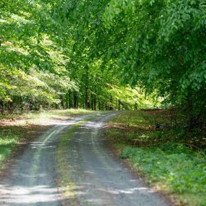 Photo #22 of GILBERT STATION RD, BARBOURSVILLE, VA 7.7 acres