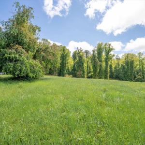 Photo #4 of GILBERT STATION RD, BARBOURSVILLE, VA 7.7 acres