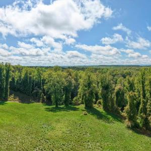 Photo #14 of GILBERT STATION RD, BARBOURSVILLE, VA 7.7 acres