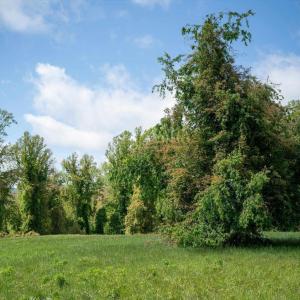 Photo #27 of GILBERT STATION RD, BARBOURSVILLE, VA 7.7 acres
