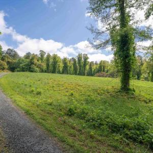 Photo #9 of GILBERT STATION RD, BARBOURSVILLE, VA 7.7 acres