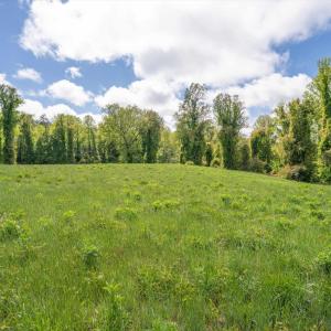 Photo #7 of GILBERT STATION RD, BARBOURSVILLE, VA 7.7 acres