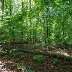 Photo #24 of GILBERT STATION RD, BARBOURSVILLE, VA 7.7 acres