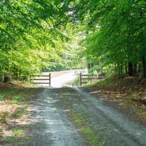 Photo #21 of GILBERT STATION RD, BARBOURSVILLE, VA 7.7 acres