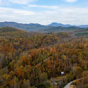 Photo #5 of WILLOW BRANCH LN, FABER, VA 17.3 acres