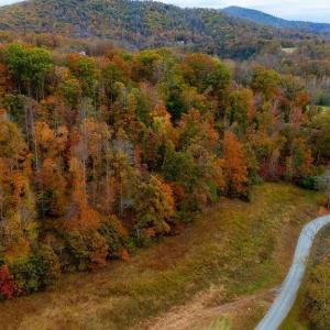 Photo #13 of WILLOW BRANCH LN, FABER, VA 14.8 acres