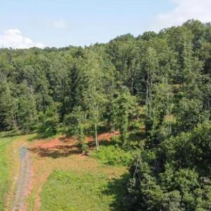 Photo #4 of WILLOW BRANCH LN, FABER, VA 14.8 acres