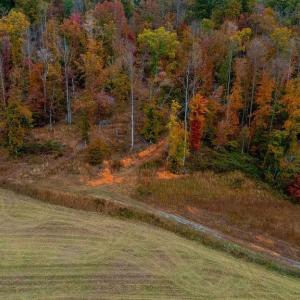 Photo #12 of WILLOW BRANCH LN, FABER, VA 14.8 acres
