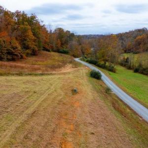 Photo #14 of WILLOW BRANCH LN, FABER, VA 14.8 acres