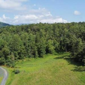 Photo #2 of WILLOW BRANCH LN, FABER, VA 14.8 acres