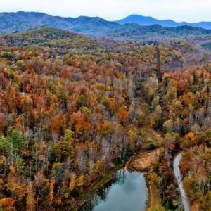 Photo #9 of WILLOW BRANCH LN, FABER, VA 14.8 acres