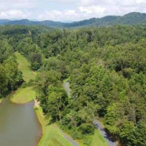 Photo #1 of WILLOW BRANCH LN, FABER, VA 14.8 acres