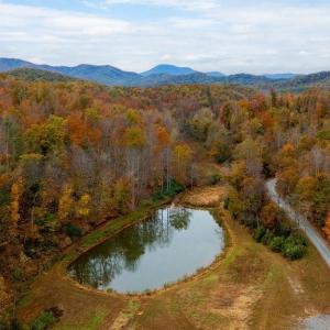 Photo #8 of WILLOW BRANCH LN, FABER, VA 14.8 acres