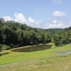 Photo #7 of WILLOW BRANCH LN, FABER, VA 14.8 acres