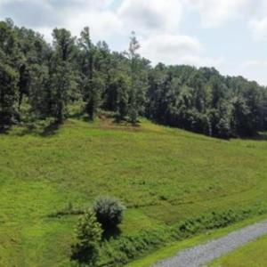 Photo #5 of WILLOW BRANCH LN, FABER, VA 14.8 acres