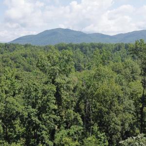 Photo #1 of ADIAL RD, FABER, VA 4.9 acres