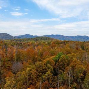 Photo #4 of ADIAL RD, FABER, VA 4.9 acres