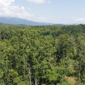 Photo #3 of ADIAL RD, FABER, VA 9.3 acres