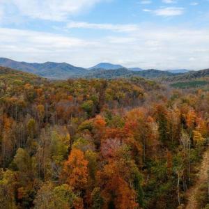 Photo #5 of ADIAL RD, FABER, VA 9.3 acres