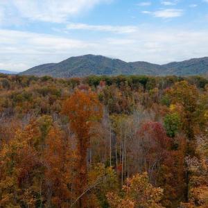 Photo #4 of ADIAL RD, FABER, VA 9.3 acres