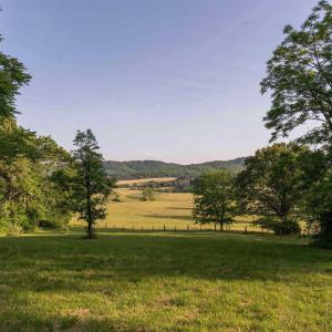 Photo #29 of CARPENTER DR, NORTH GARDEN, VA 27.3 acres