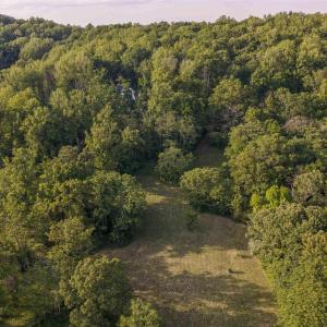 Photo #23 of CARPENTER DR, NORTH GARDEN, VA 27.3 acres