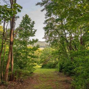 Photo #22 of CARPENTER DR, NORTH GARDEN, VA 27.3 acres