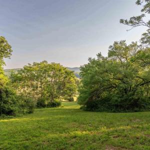 Photo #25 of CARPENTER DR, NORTH GARDEN, VA 27.3 acres