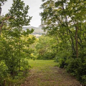 Photo #14 of CARPENTER DR, NORTH GARDEN, VA 27.3 acres