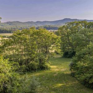 Photo #17 of CARPENTER DR, NORTH GARDEN, VA 27.3 acres