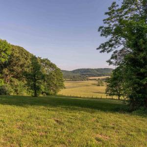 Photo #30 of CARPENTER DR, NORTH GARDEN, VA 27.3 acres