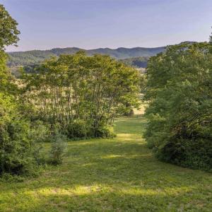 Photo #16 of CARPENTER DR, NORTH GARDEN, VA 27.3 acres