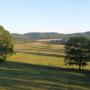 Photo #13 of CARPENTER DR, NORTH GARDEN, VA 27.3 acres