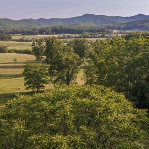 Photo #18 of CARPENTER DR, NORTH GARDEN, VA 27.3 acres