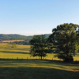 Photo #10 of CARPENTER DR, NORTH GARDEN, VA 27.3 acres