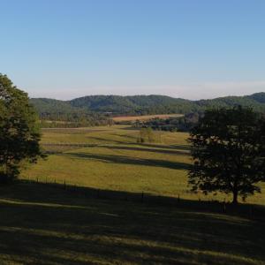 Photo #12 of CARPENTER DR, NORTH GARDEN, VA 27.3 acres