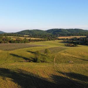 Photo #6 of CARPENTER DR, NORTH GARDEN, VA 27.3 acres