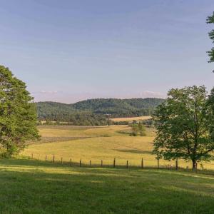 Photo #31 of CARPENTER DR, NORTH GARDEN, VA 27.3 acres